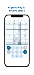 Sudostorm screenshot 1