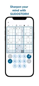 Sudostorm screenshot 4