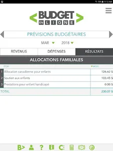Budget en ligne screenshot 11