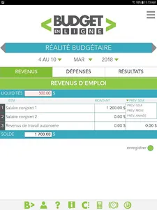 Budget en ligne screenshot 12