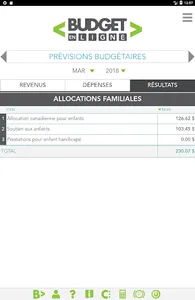 Budget en ligne screenshot 19