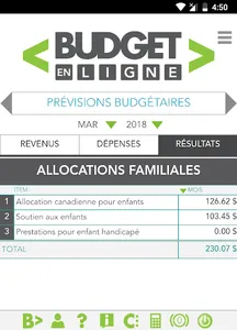 Budget en ligne screenshot 3