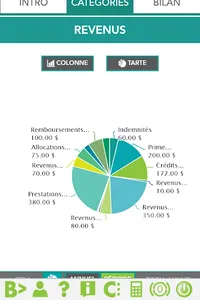 Budget en ligne screenshot 6