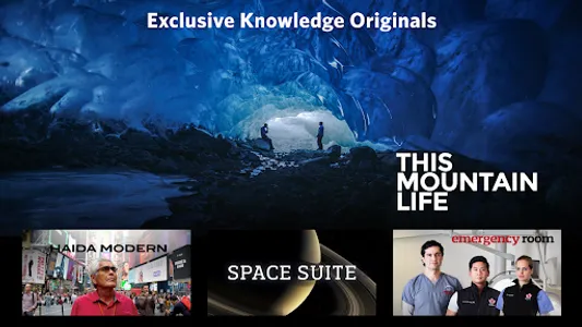 Knowledge screenshot 17