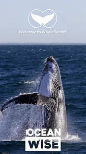 WhaleReport screenshot 0