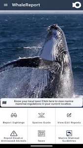 WhaleReport screenshot 1