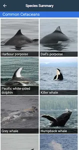 WhaleReport screenshot 2