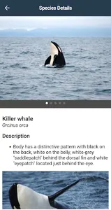 WhaleReport screenshot 3
