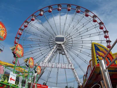 All The Fun Of The Fair screenshot 9