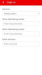 ELECTROPAY screenshot 3