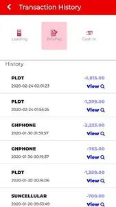 ELECTROPAY screenshot 4