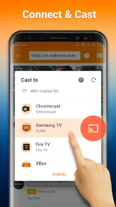 Cast to TV/Chromecast/Roku screenshot 2