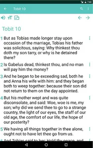 The Catholic Bible App screenshot 13