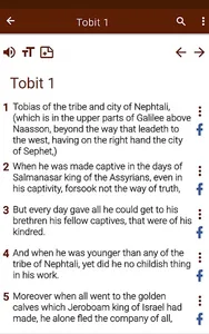 Catholic Bible app screenshot 13