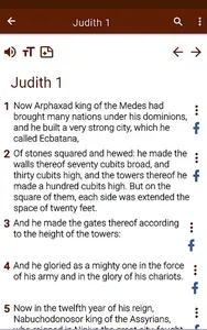 Catholic Bible app screenshot 15