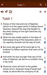 Catholic Bible app screenshot 21