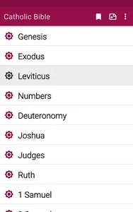 Catholic Bible app offline screenshot 17