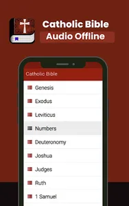 Catholic Bible Audio Offline screenshot 10