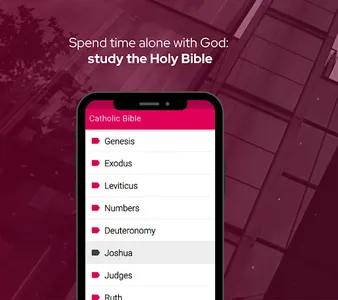 Catholic Bible Verses offline screenshot 6