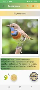 Птицы России screenshot 1