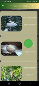 Птицы России screenshot 5
