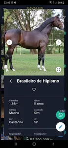 Cavalos Shop screenshot 1