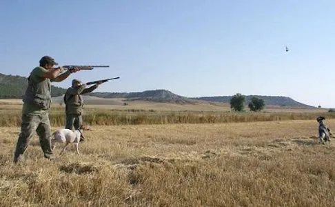 Major and minor hunting videos screenshot 1