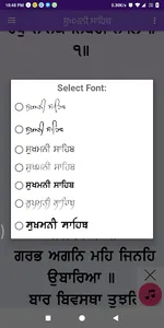 Sukhmani Sahib - ਸੁਖਮਨੀ ਸਾਹਿਬ screenshot 6