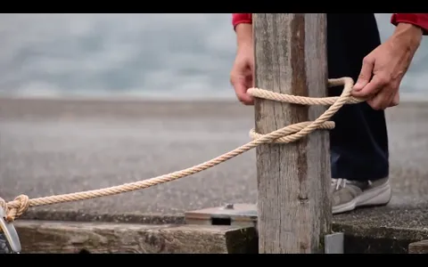 Knoten für die Bootsprüfung screenshot 20