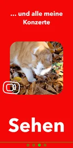 Kater Caruso screenshot 2