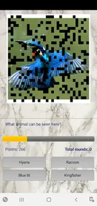 Photo Quiz screenshot 2