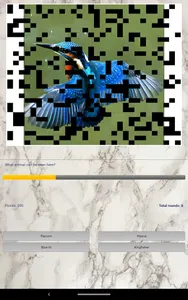 Photo Quiz screenshot 8