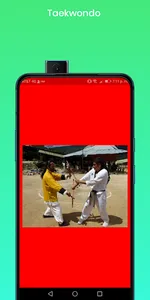 Chat Artes Marciales screenshot 3