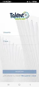Bitacora RFP screenshot 1