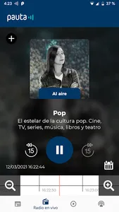 Pauta screenshot 2