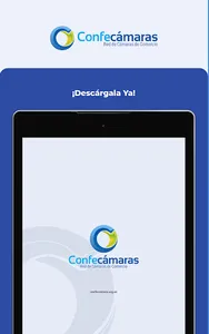 Confecámaras Servicios screenshot 14