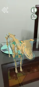 Eba la vaca screenshot 4