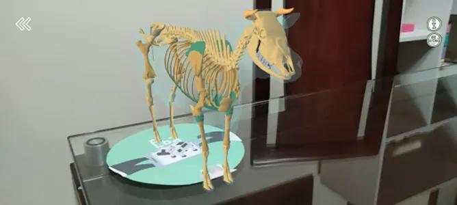 Eba la vaca screenshot 7