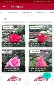Kreative Roses screenshot 1