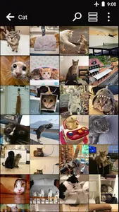 Photo gallery app screenshot 3