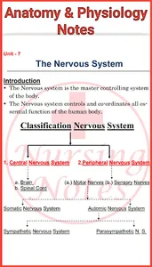 Nursing Notes screenshot 2