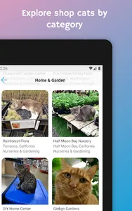 ShopCats screenshot 11