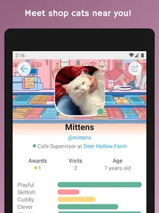 ShopCats screenshot 14