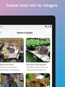 ShopCats screenshot 18