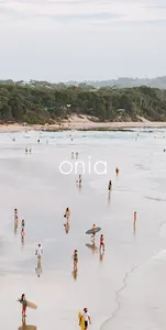 onia screenshot 0