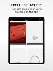 Dicci screenshot 11