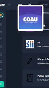 COAU - Contabilidad y Auditori screenshot 1
