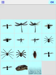 Insects Prank screenshot 14