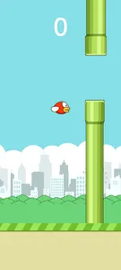 Ando Bird screenshot 1