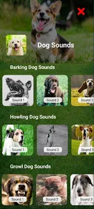 Dog Sounds screenshot 9